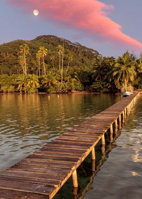 Moonlit Pink Sunset 