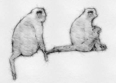 Monkey Pencil Drawing Art