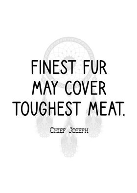 Chief Joseph On Fur