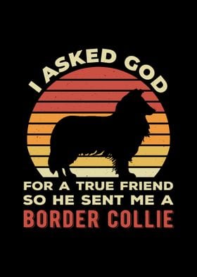 Funny Border Collie