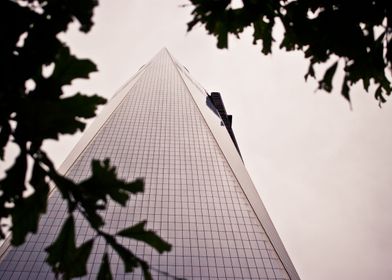 Freedom Tower and Tree