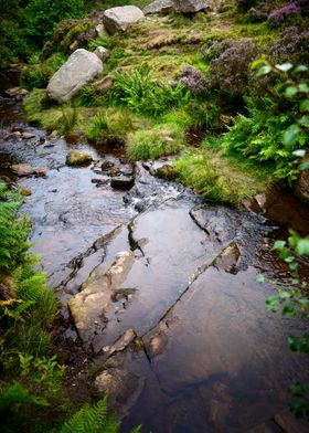 Nature Landscape