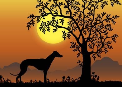 Doberman dog sunset