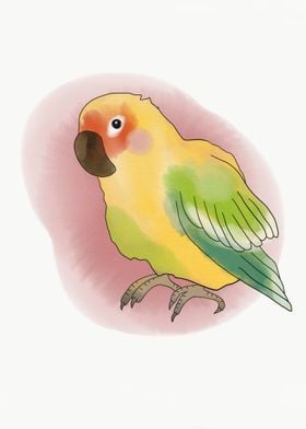 Small parrot bird painting