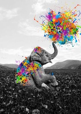 Elephant play with paint