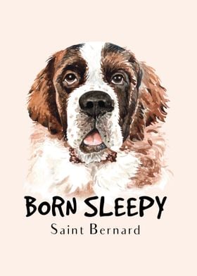 Saint Bernard DOG 