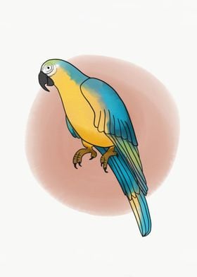 Parrot bird painting