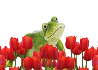 Frog red Tulips Flowers