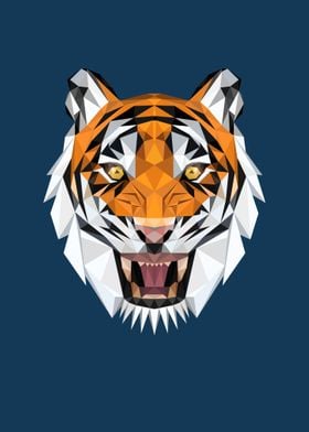 Tiger                     