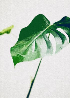 Monstera Plant Leaf Single