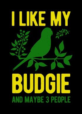 Budgie Bird Funny