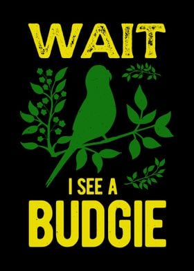 Budgie Bird Funny