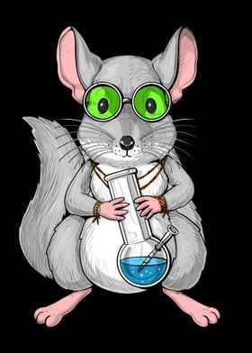 Chinchilla Hippie Stoner