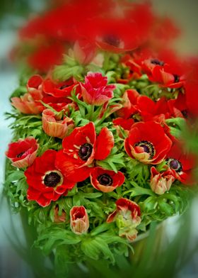 Red poppies bouquet