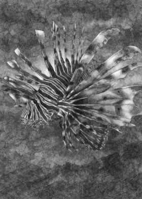 Lionfish III