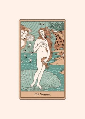 The Venus