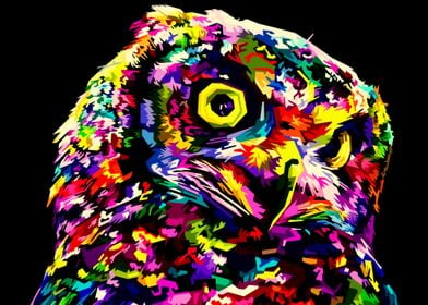 Owl Pop Up Art