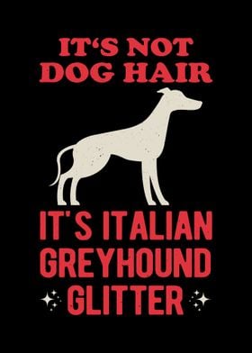 Funny Italian Greyhound