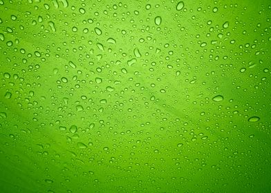 Rain droplets on green