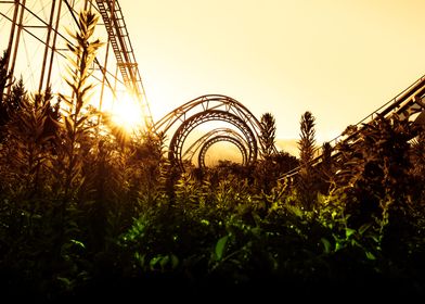 Nara Dreamland