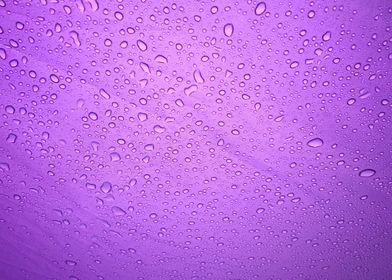Rain droplets on purple