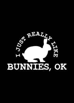 Bunny Rabbit Bunny Lover