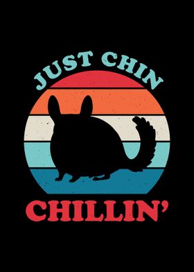 Chinchilla Funny Quote