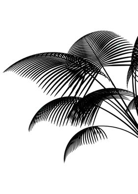 Tropical plant decor