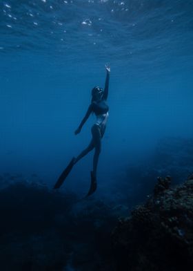 Diver in the sea