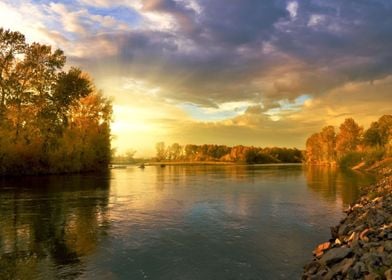 autum sun sea tree