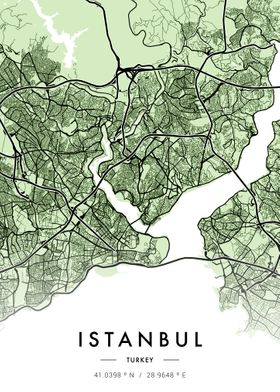 Istanbul City Map Green