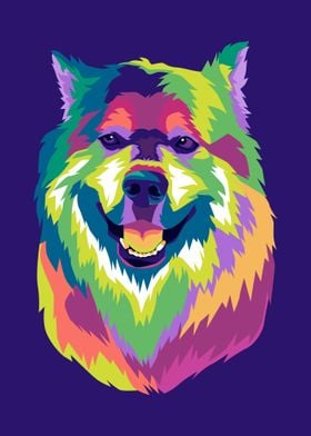 Shiba inu in pop art