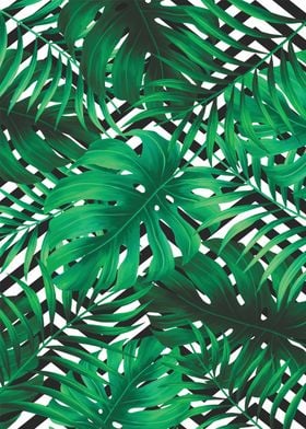 Monstera pattern