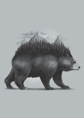 Bear Forest