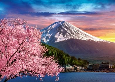 Fuji mountain in japan