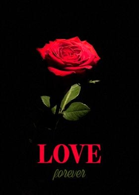Forever Love Red Rose