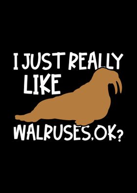 Walruses Walrus lovers