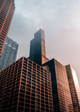 Skyscrapers in foggy city