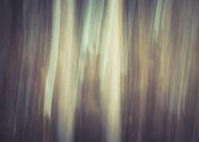Panning Trees