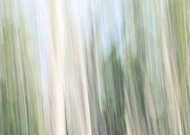 Panning Trees