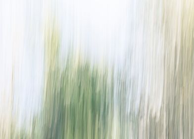 Panning Trees
