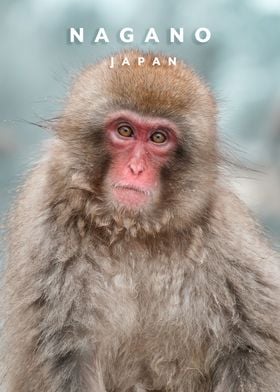 Nagano monkey