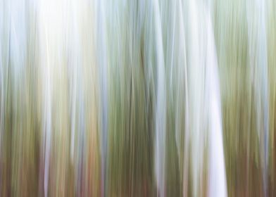 Panning Trees