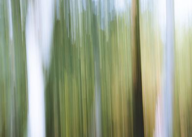 Panning Trees