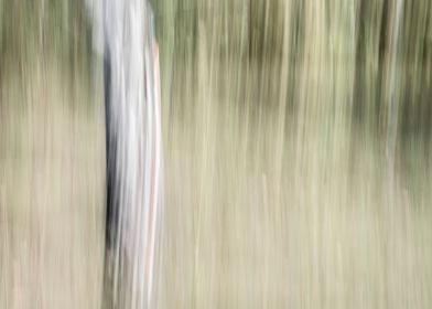 Panning Trees
