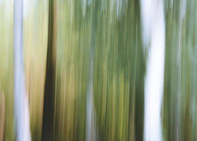 Panning Trees