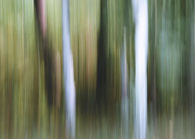 Panning Trees