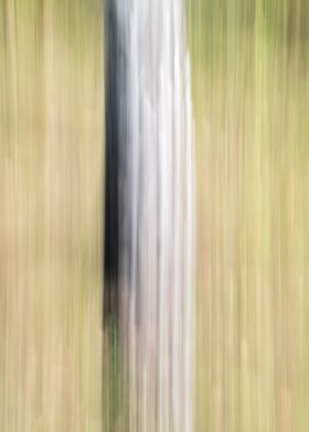 Panning Trees