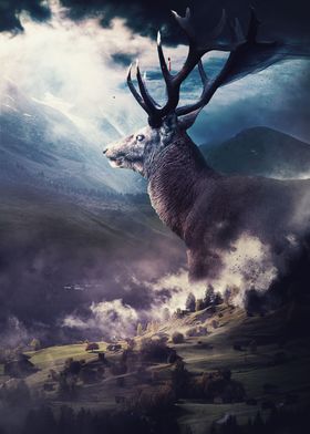 The Deer