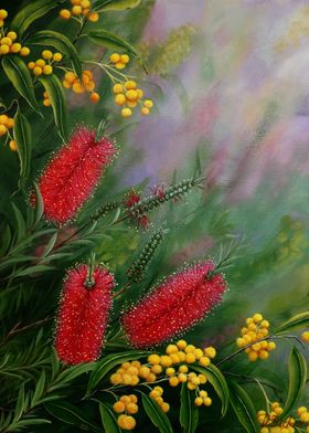 Australian native flowers